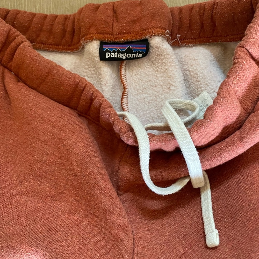Patagonia rust sweatpants